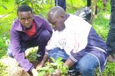 Tree Planting Statehouse Junior