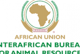 AU-IBAR-University of Nairobi Scholarship